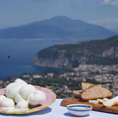 Nonno Antonino Farm stay Sant'Agnello
