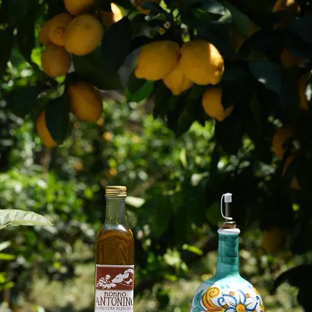 Nonno Antonino Farm stay